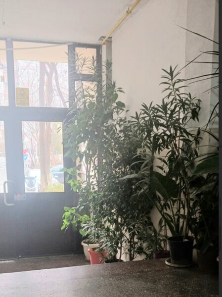 Pantelimon, Aleea Cislau, Lidl